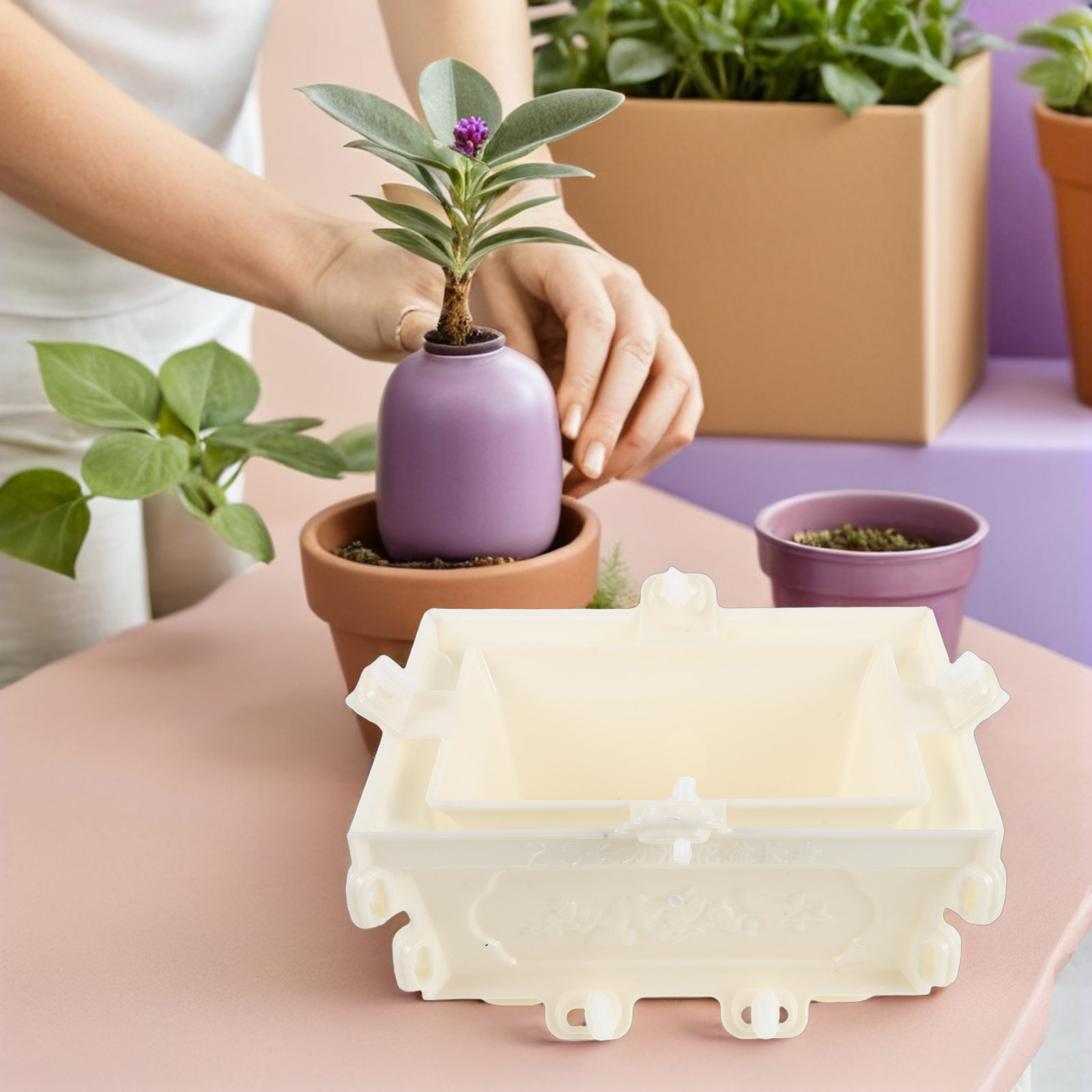 Plastic Concrete Flower Pot Mo - đánh giá và giá Succulent Planter Pot