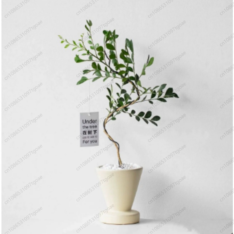 Minimalist Conical Ceramic Pla - đánh giá và giá Succulent Planter Pot