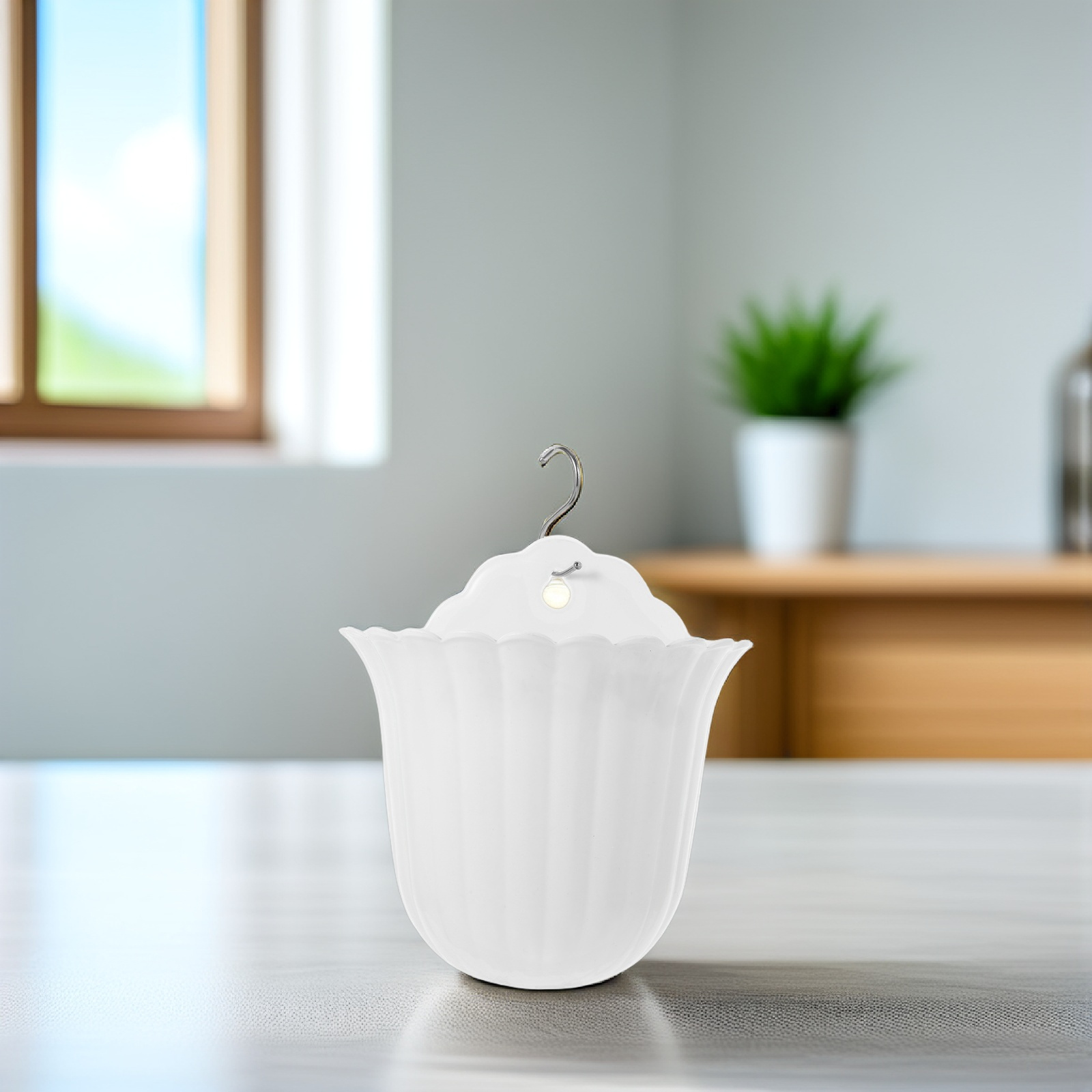 2Pcs Wall Plant Holder for Ind - đánh giá và giá Succulent Planter Pot