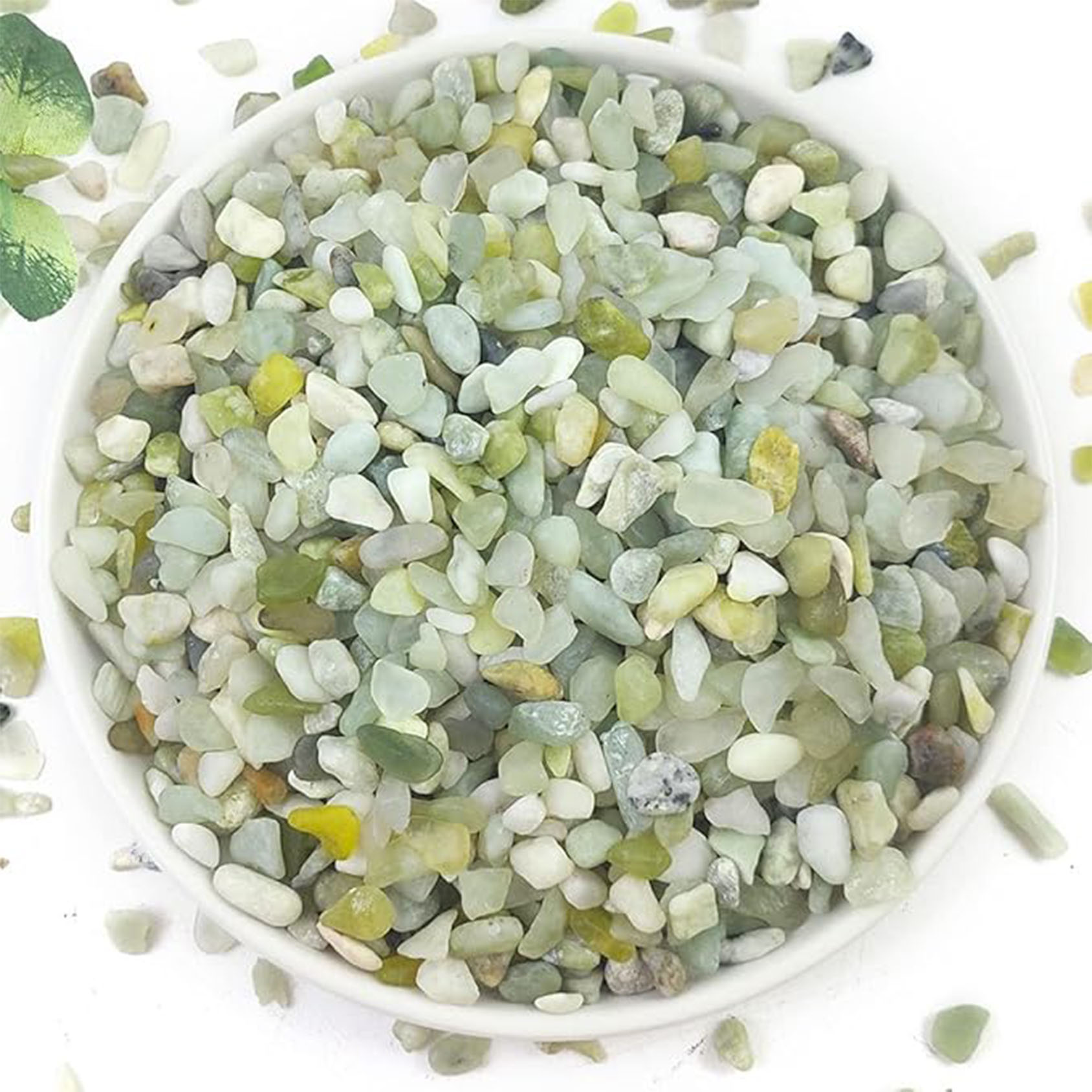Succulent and Cactus Pebbles,  - đánh giá và giá Succulent Planter Pot