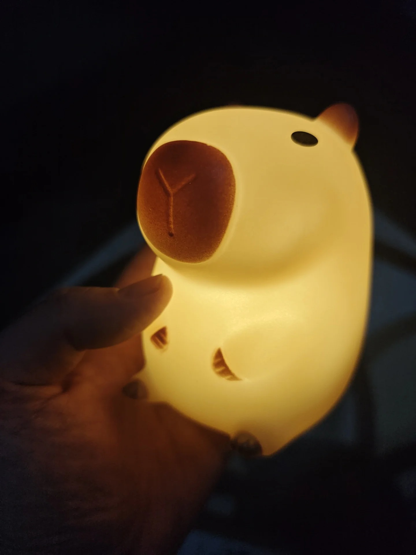 Cute Pet Capybara Night Light  - đánh giá và giá Home Decor On Sale