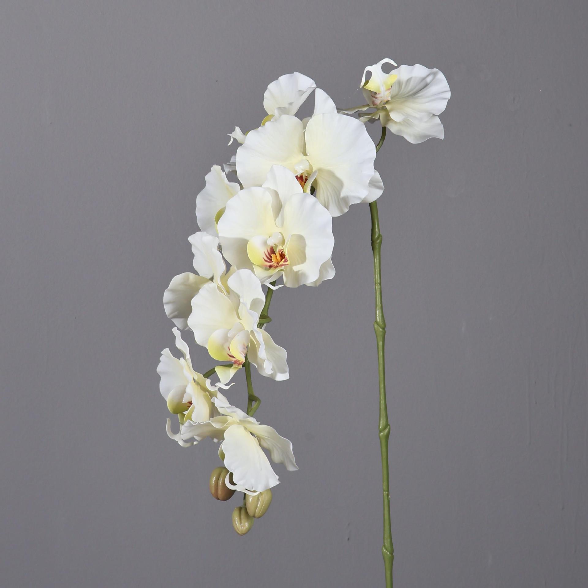 38.6 Inch 9 Heads Korean Style - đánh giá và giá Home Decor Korea