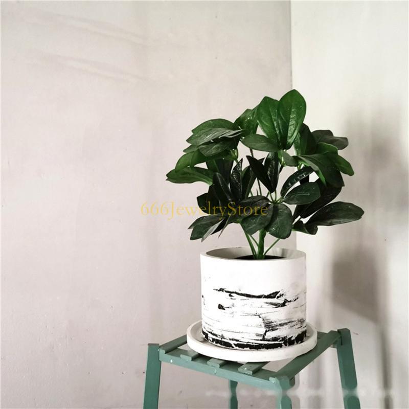 F2TD lớn tròn làm tròn cây trồ - đánh giá và giá Succulent Planter Pot