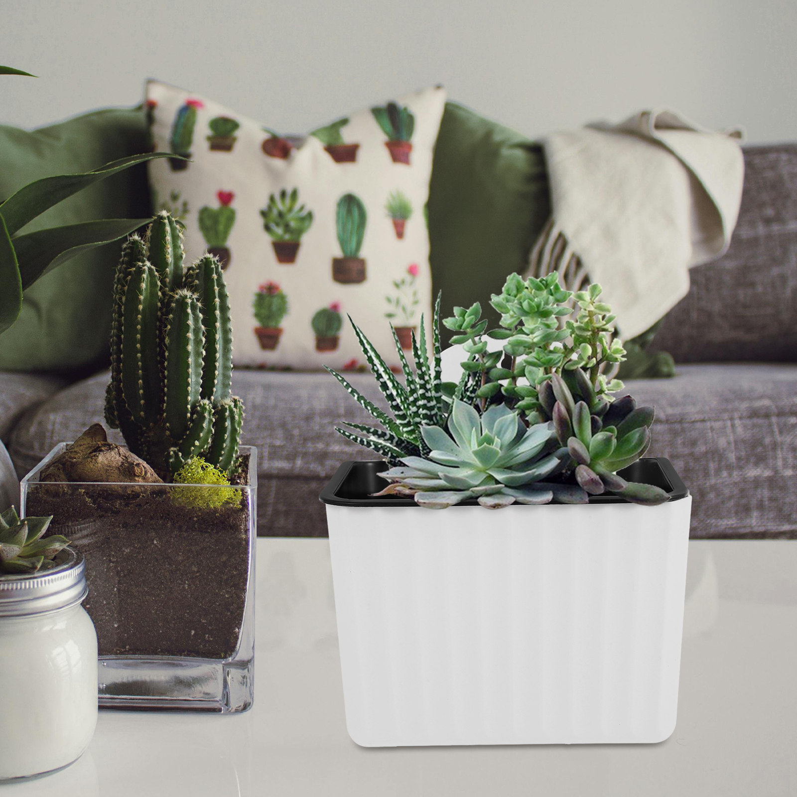 2Pcs Self Watering Flower Pots - đánh giá và giá Succulent Planter Pot